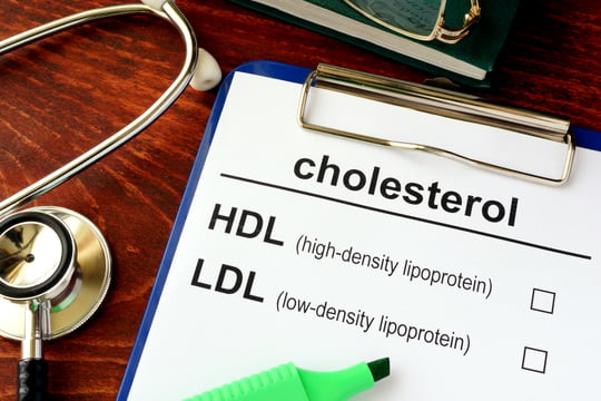Cholesterol-Nov-21-2022-06-24-03-9704-PM